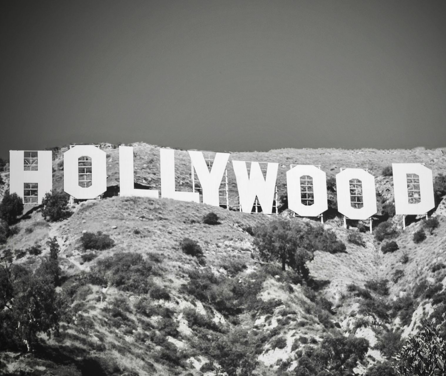 commercial-theatrical-img