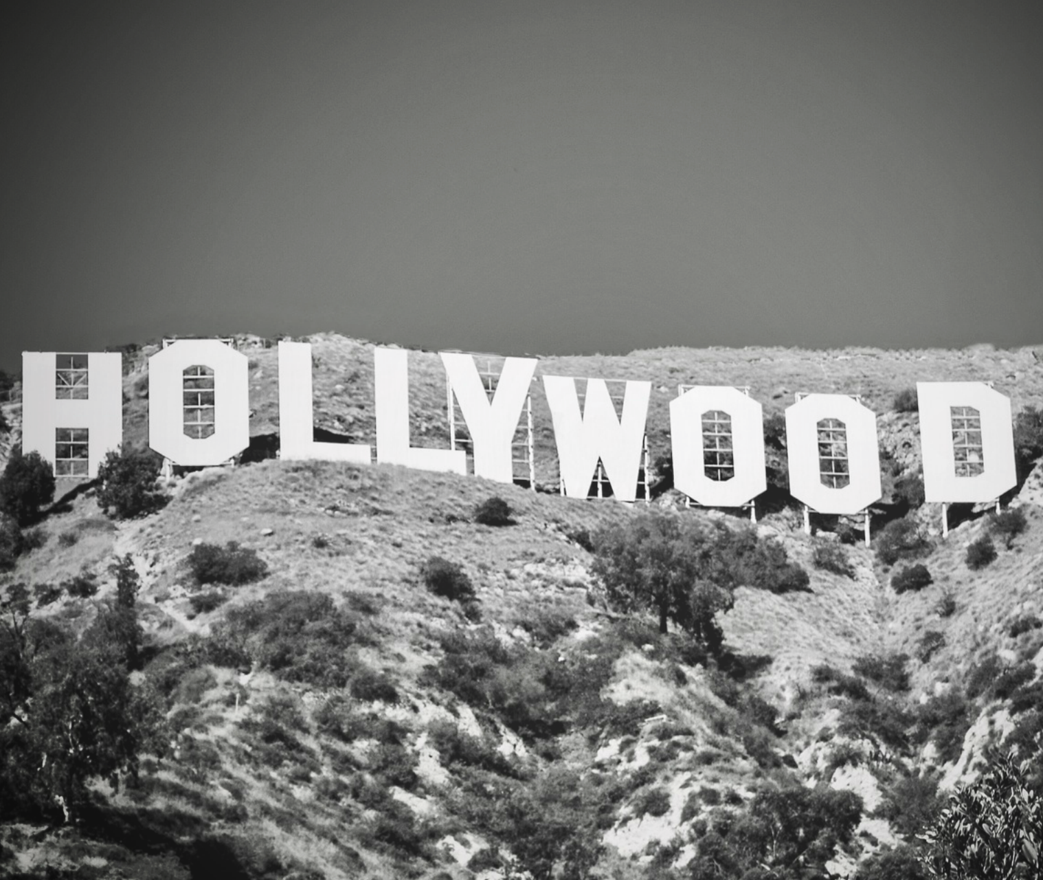 commercial-theatrical-img