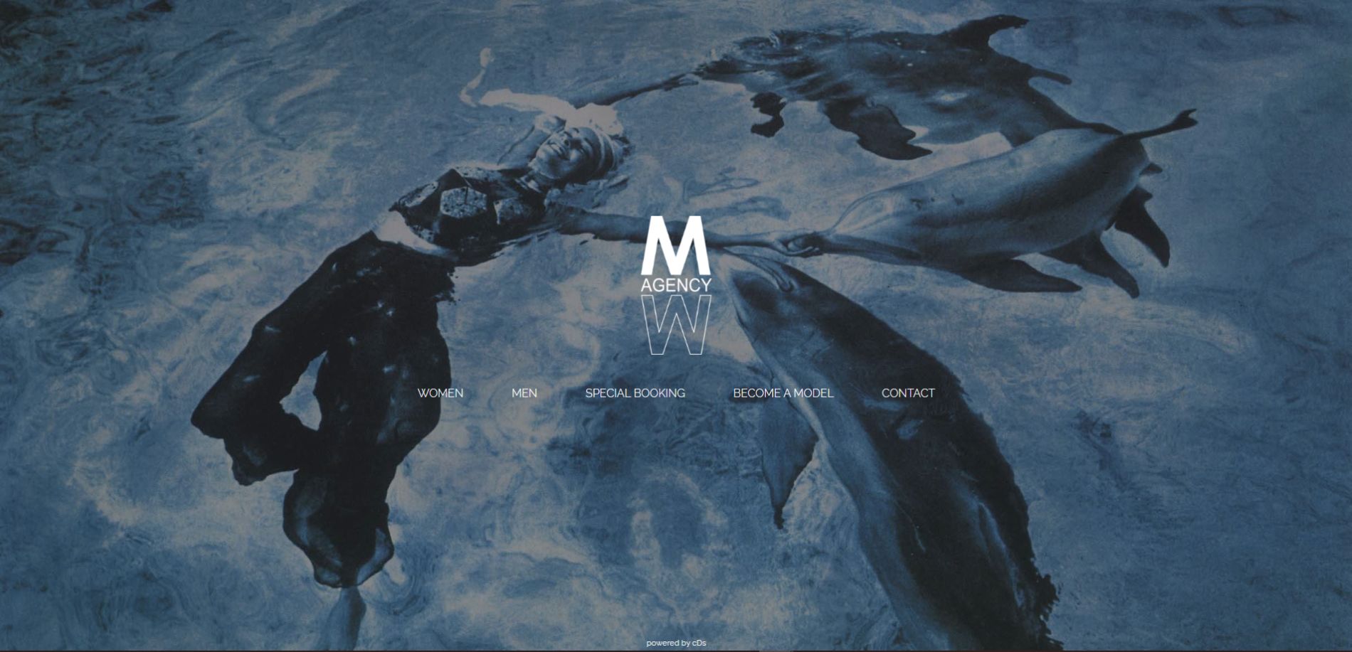 Website Management