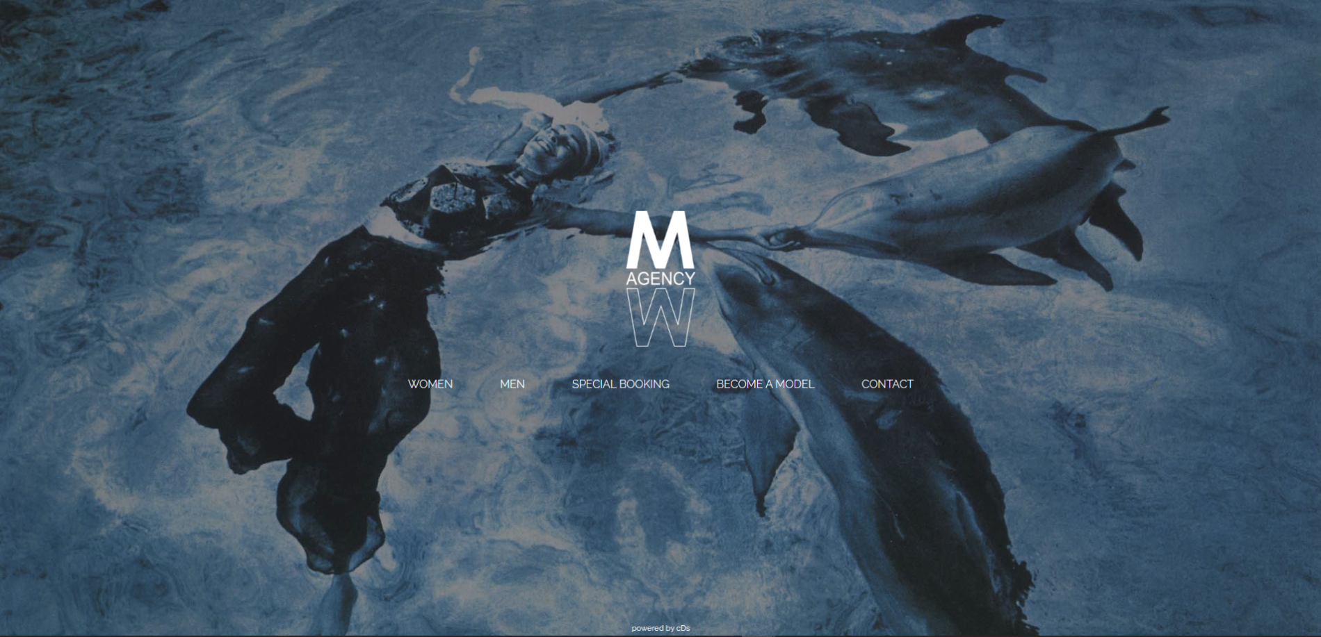 Website Management