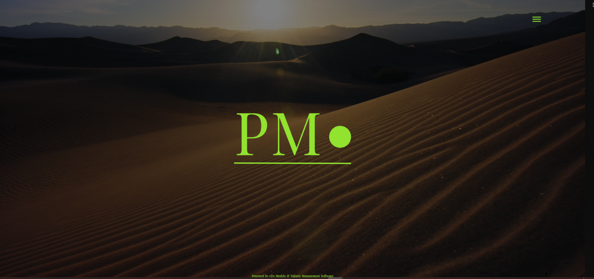 Website Management