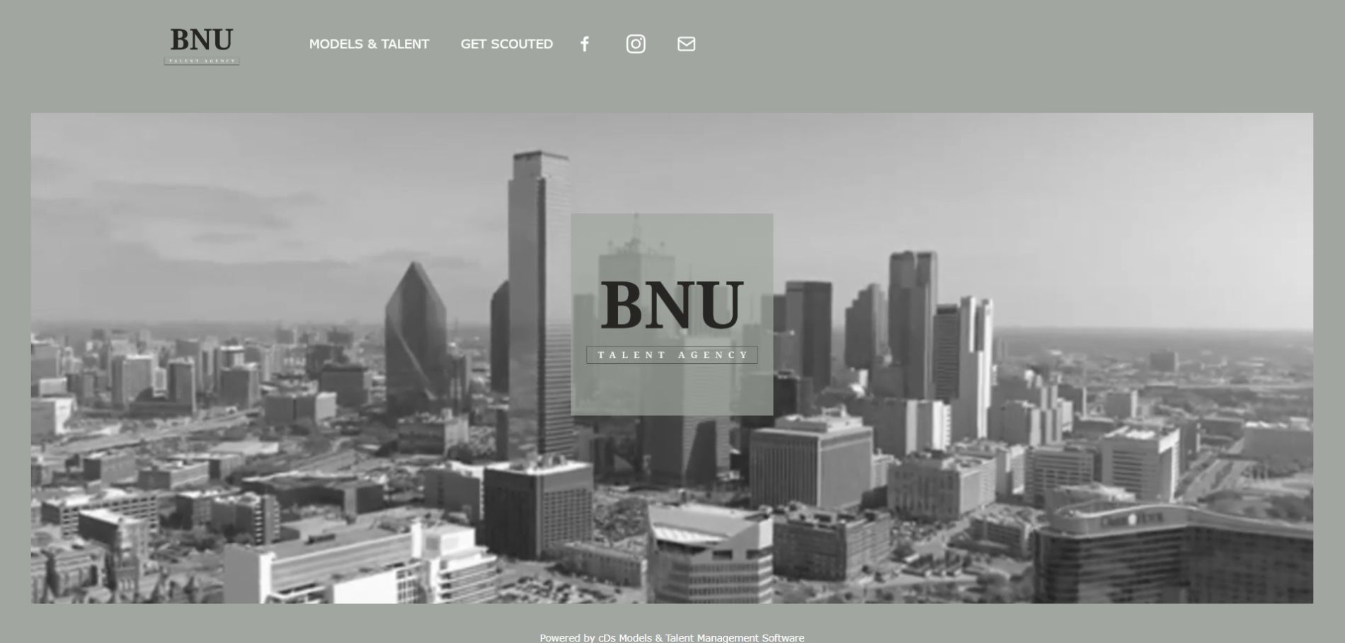 Website Management