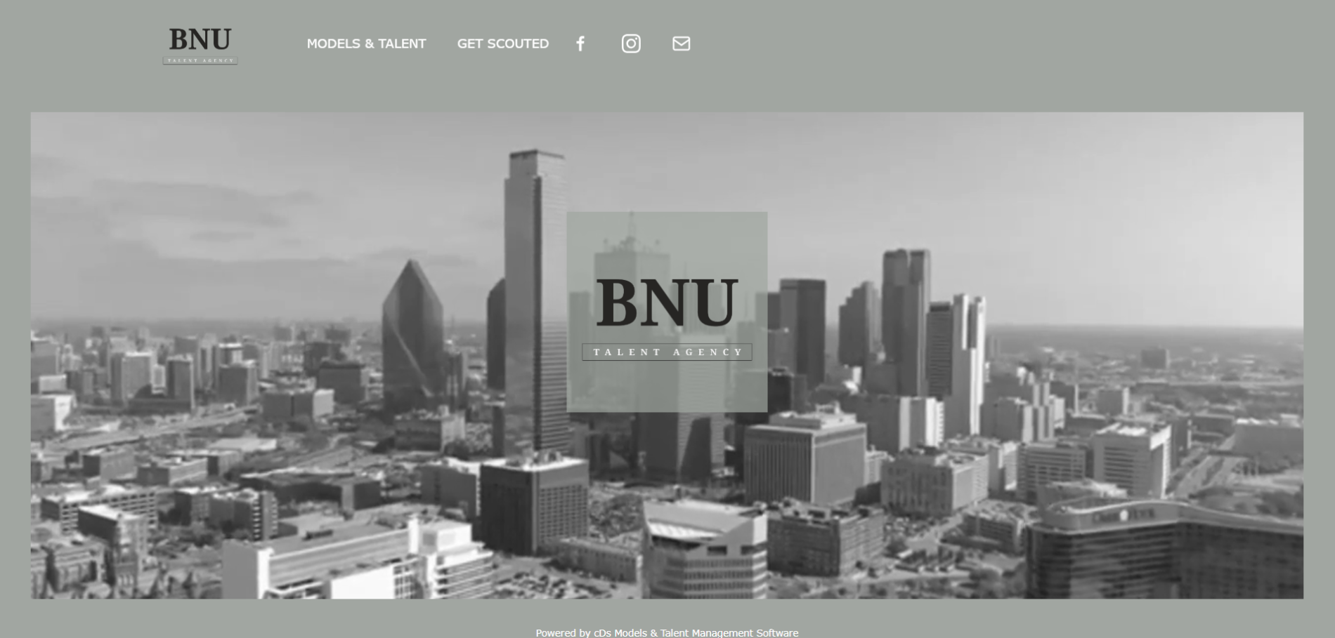 Website Management