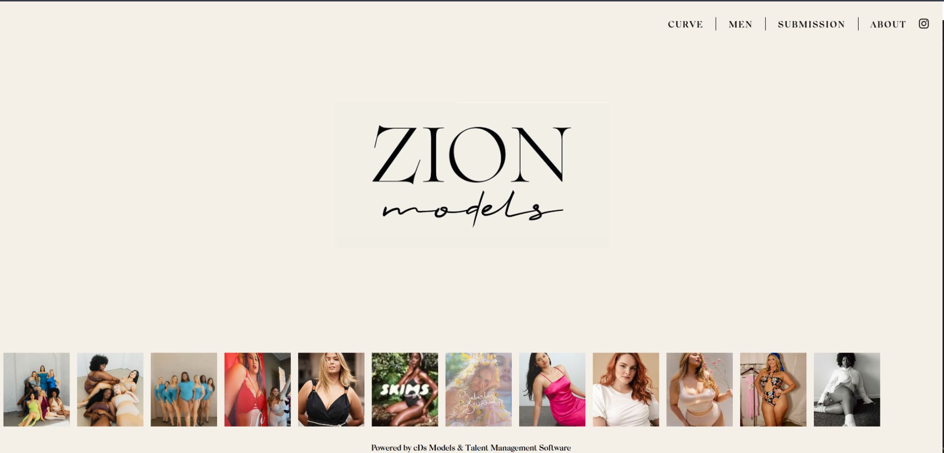 Website Management