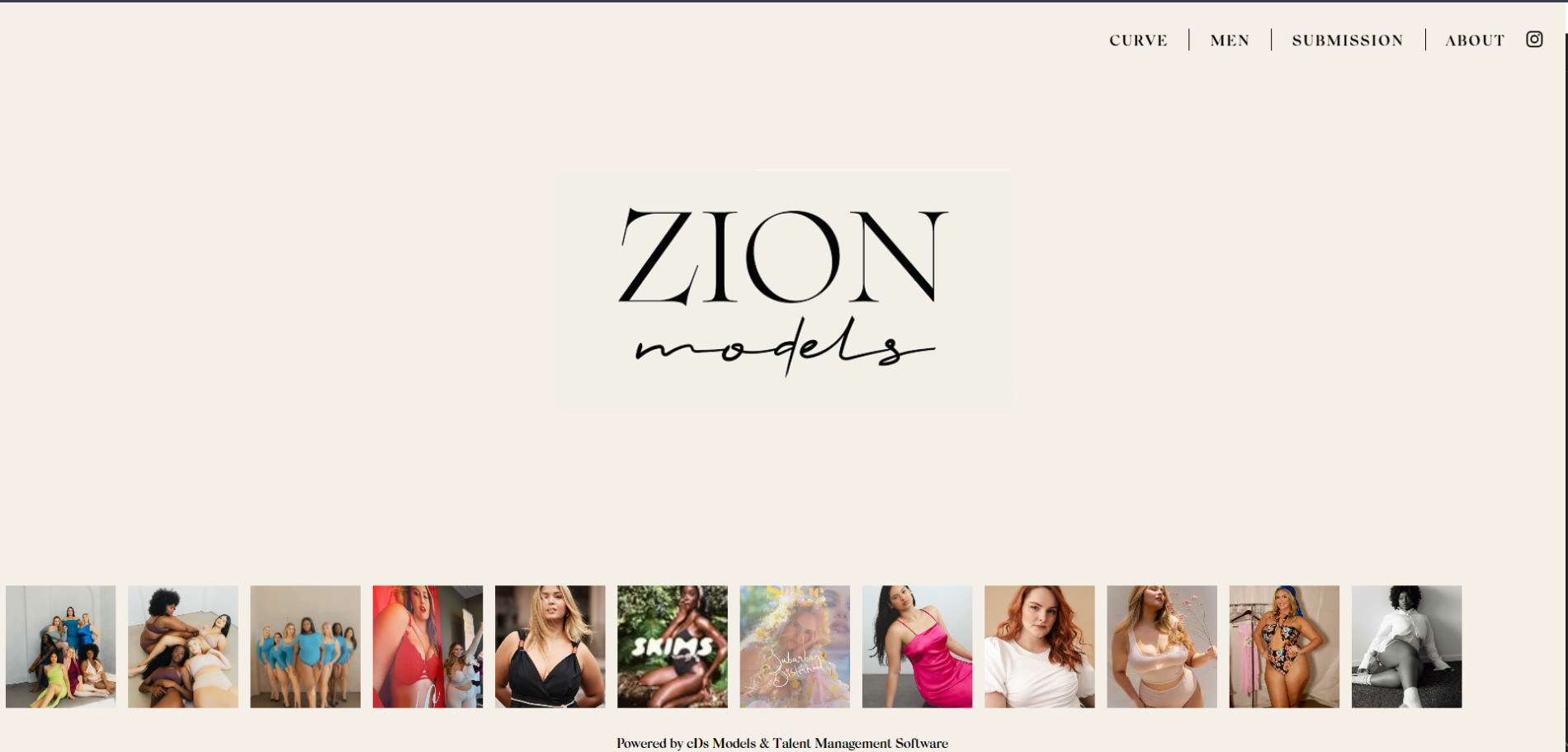 Website Management