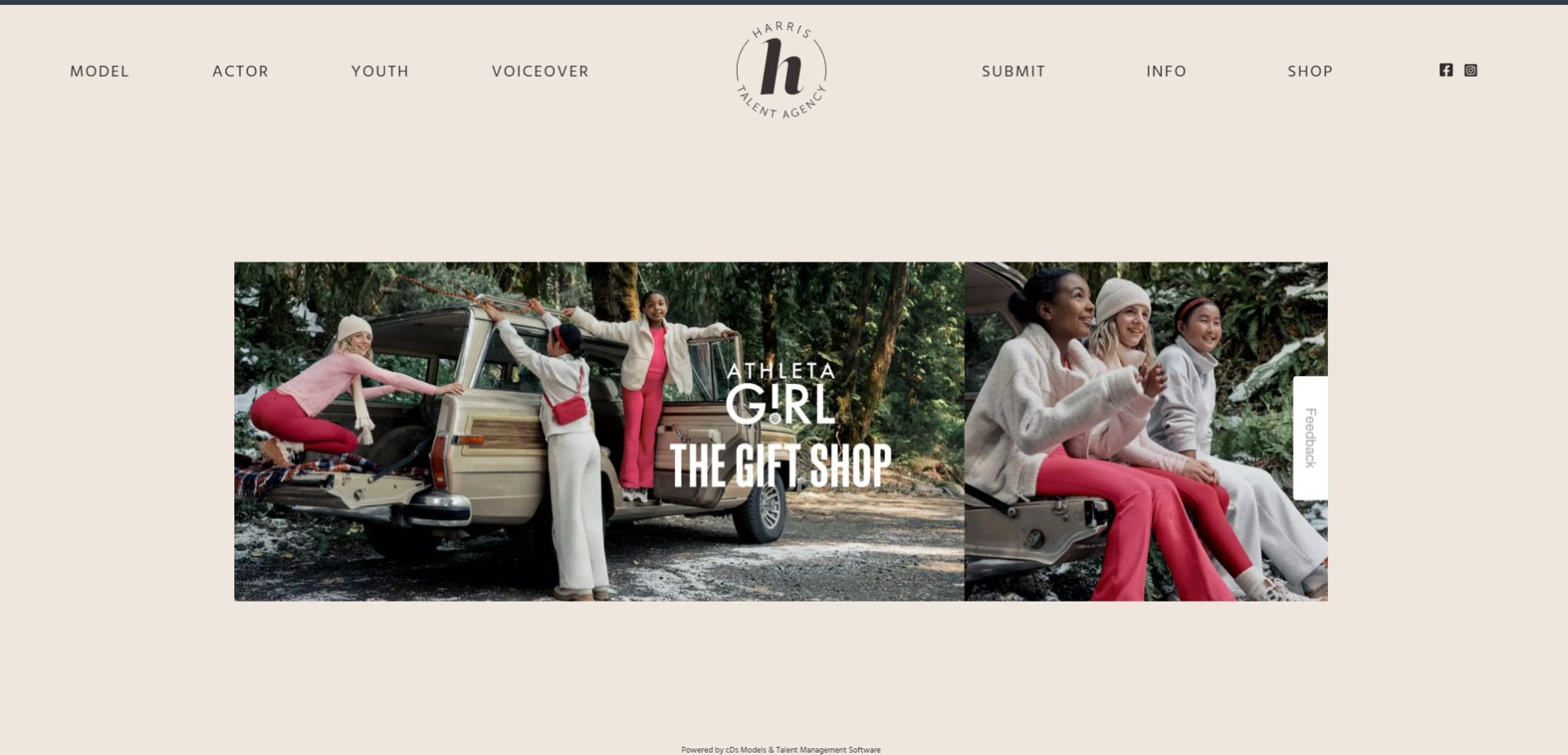 Website Management