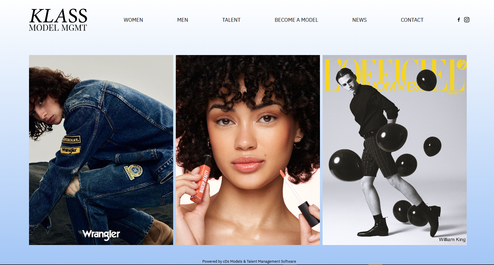 Website Management