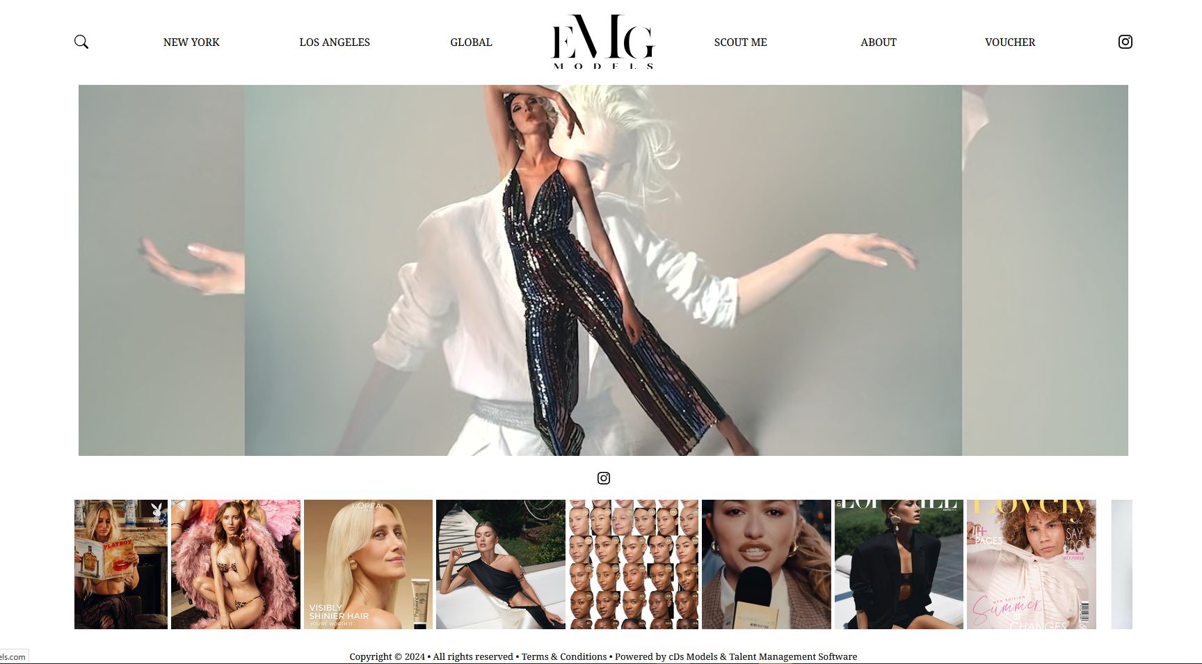 Website Management