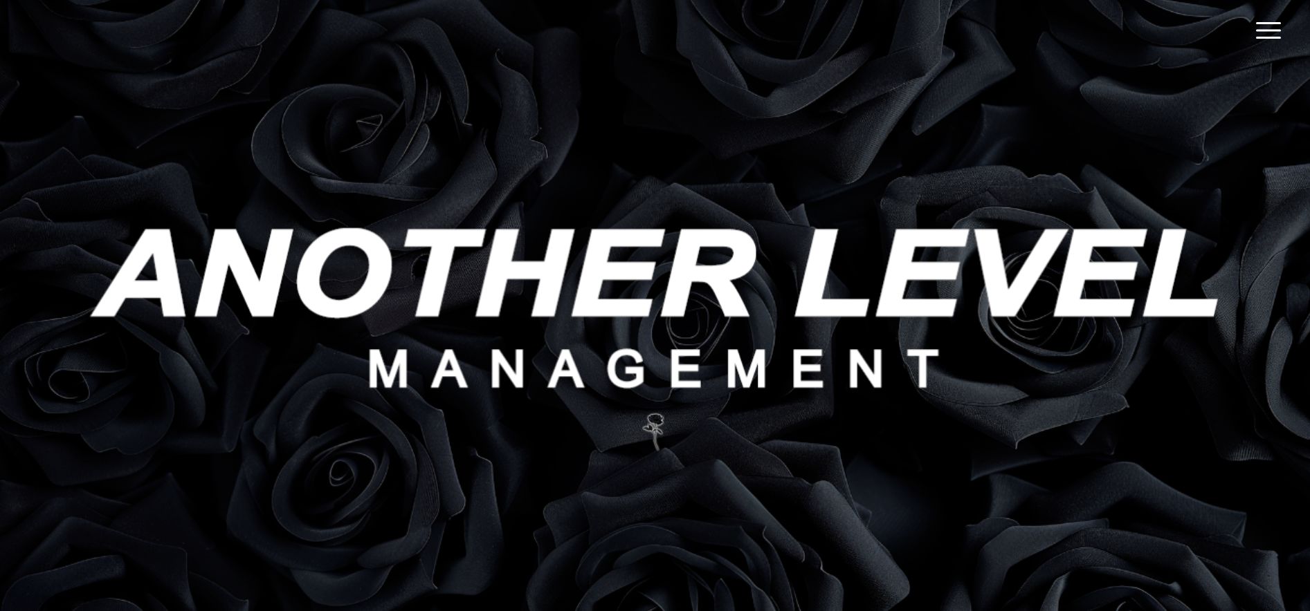 Website Management