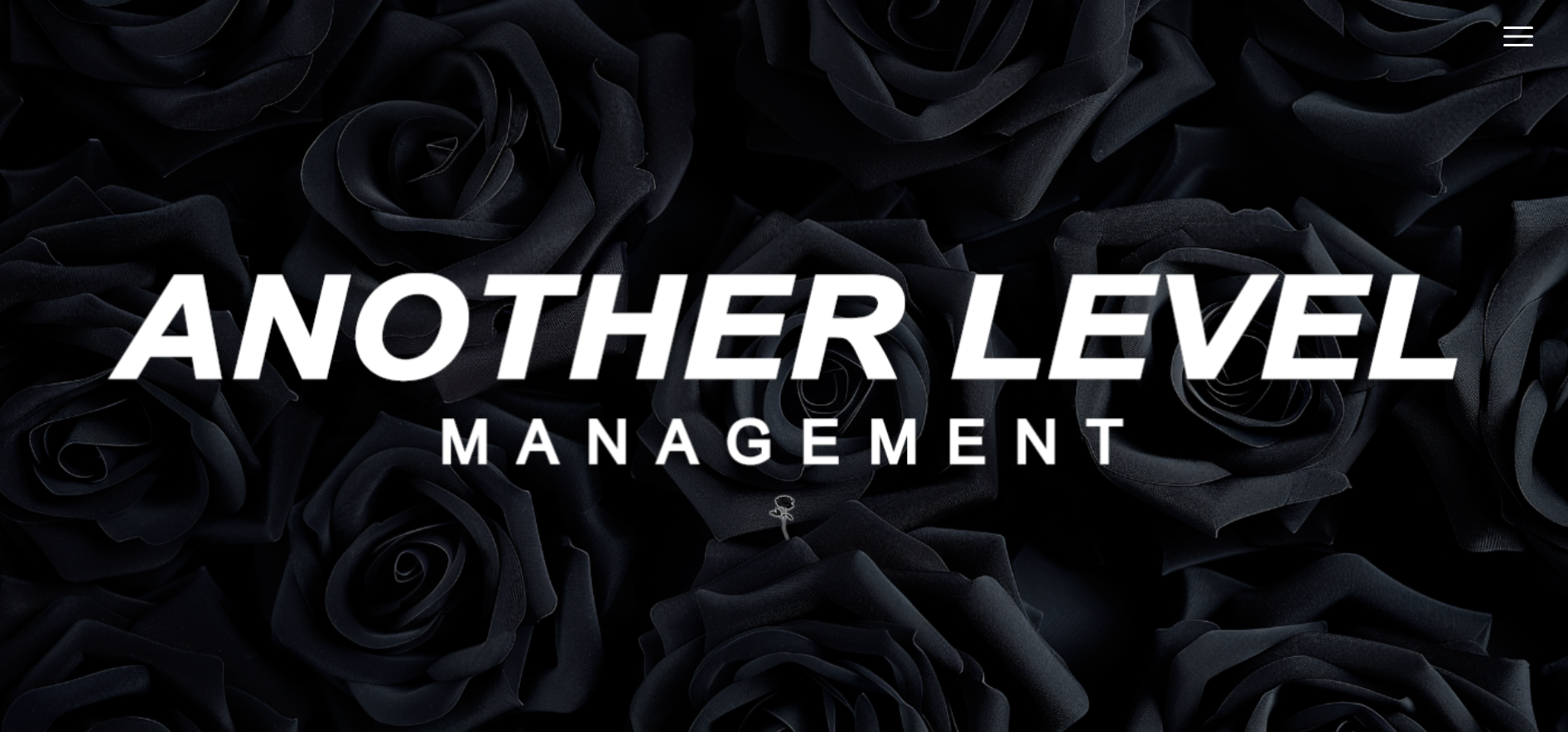 Website Management