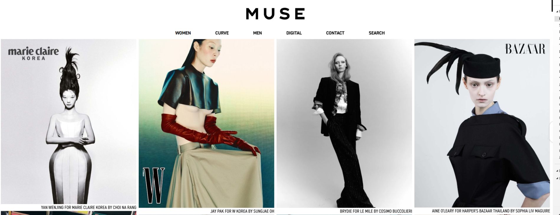 Website Management