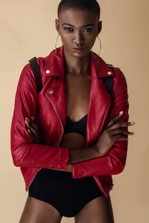 Vanessa  - book thumbnail