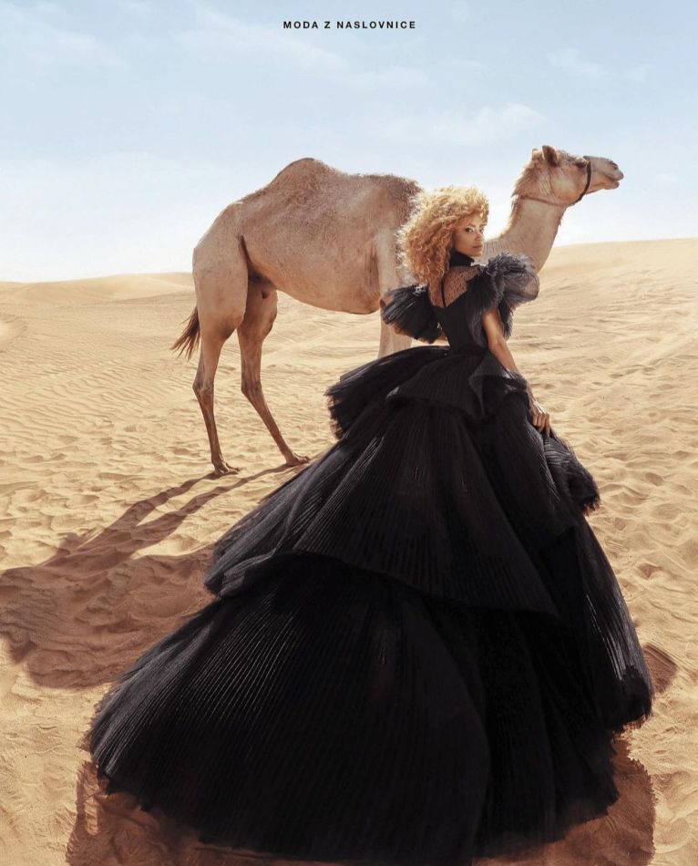 Bebita  - book thumbnail