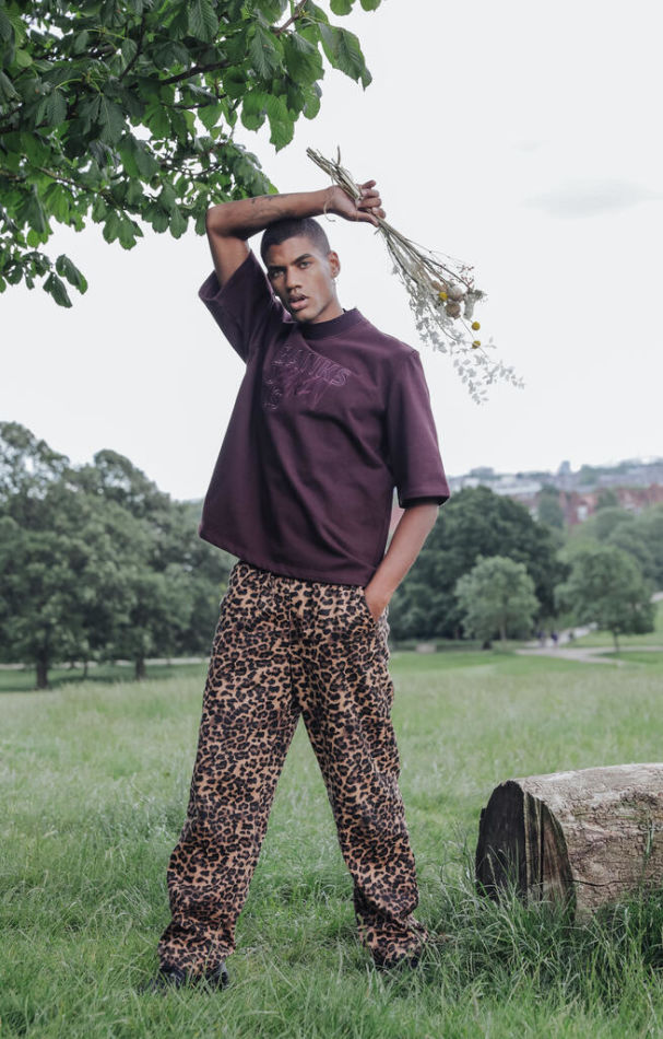 Nicolas V  - book thumbnail